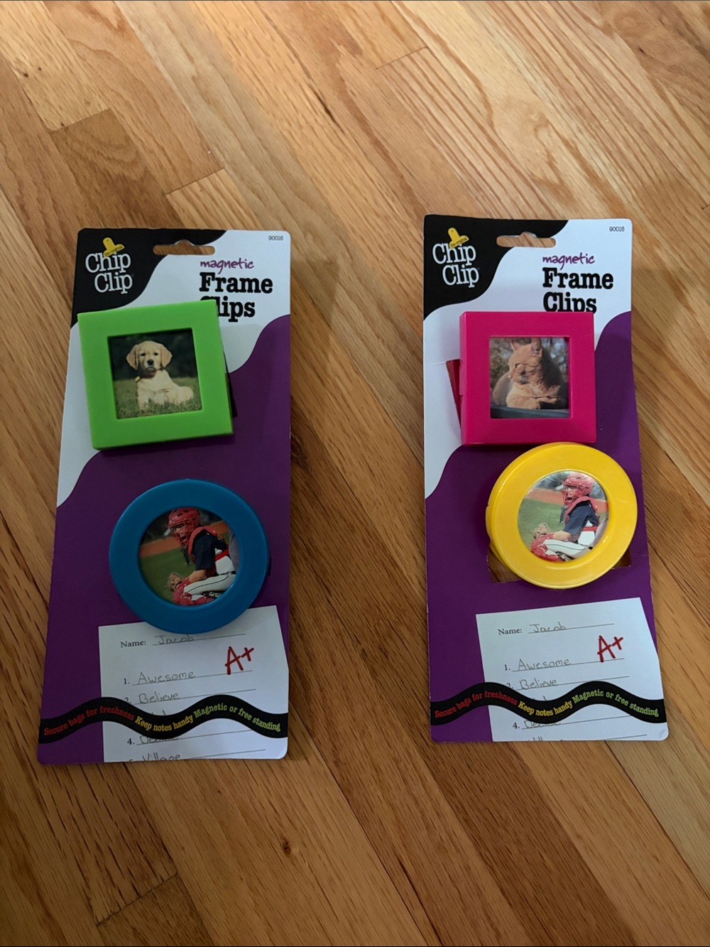 Magnetic Frame Clips - Green, Blue, Pink, Yellow (4-Pack)